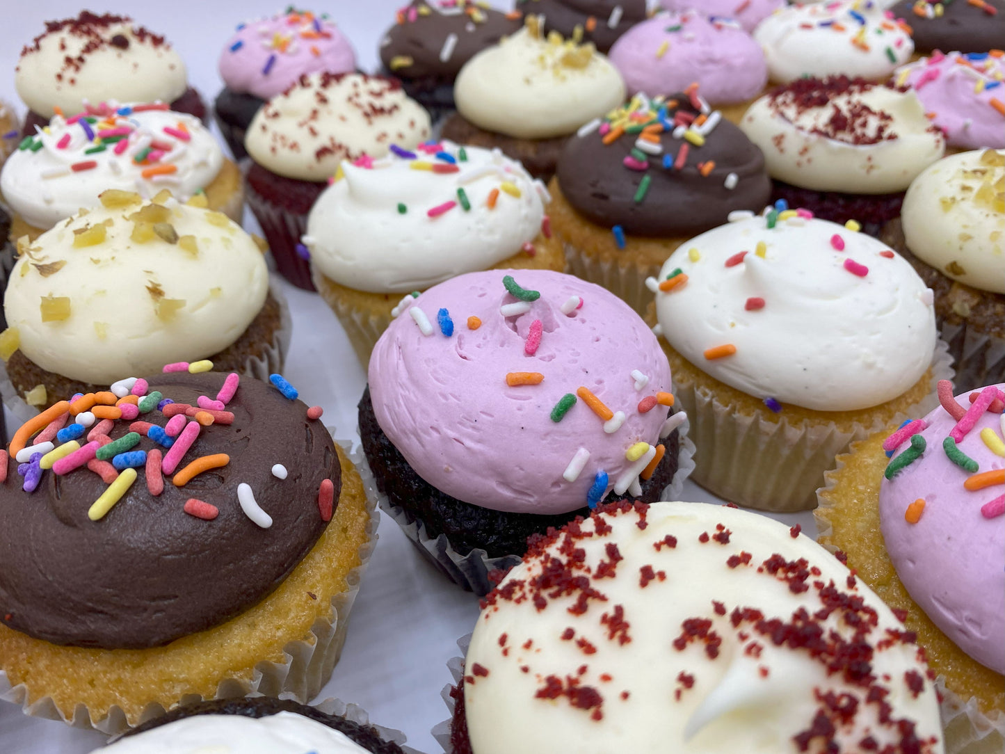 Build a Box of Cupcakes