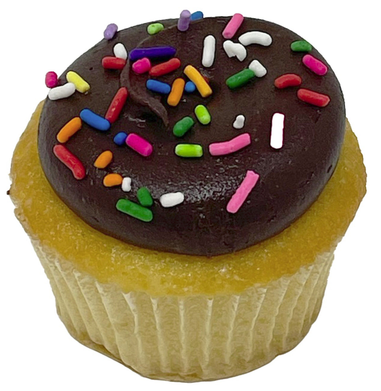 Vanilla / Chocolate Cupcake